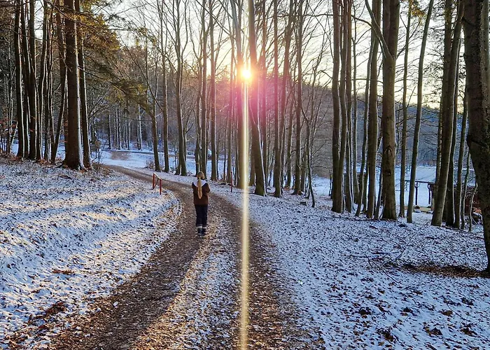 Ferienwohnung Brotterode * Brotterode